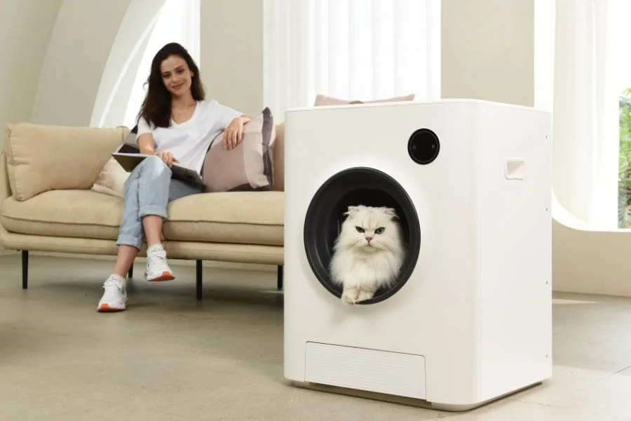 electric cat litter